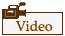 Self-immolation Video Clip